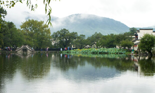 湖畔秀丽风光 绿意盎然