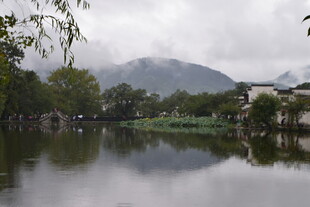 云雾缭绕的湖畔风光