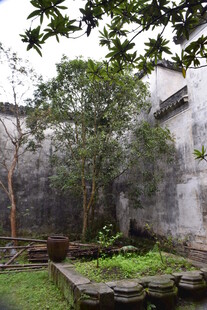 中式庭院 古朴静谧景致