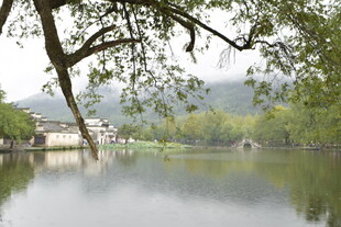 湖畔绿树环绕的宁静景致