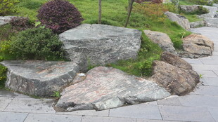 庭院中的自然风景观石