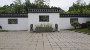 中式庭院白墙绿植景观