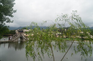 湖畔垂柳与石桥风景