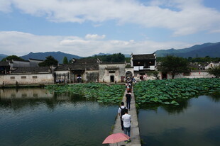 水乡栈道上的悠然景致