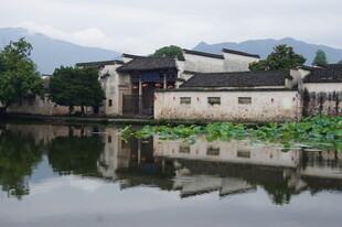 江南水乡荷塘畔古建筑