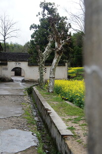 春日园林小径景致