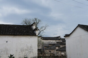 江南白墙黑瓦民居景致