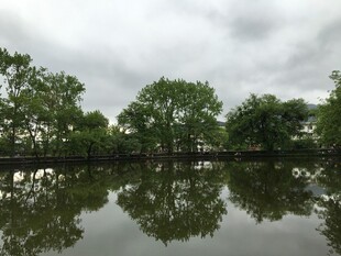 湖畔绿树倒影 静谧风光