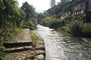 乡村溪边小道 自然景致