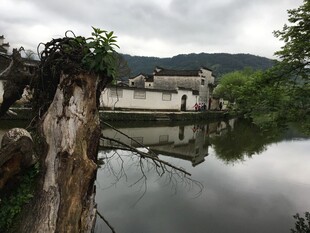 江南水乡静谧湖景