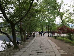 湖畔林荫步道行人漫步