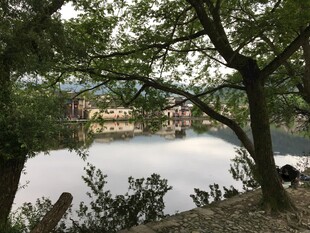 湖畔绿树环绕的静谧景致