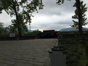 户外庭院石板路与绿植