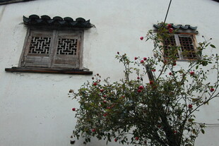 中式白墙旁的古朴窗景