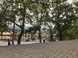 河畔绿树成荫的休闲步道