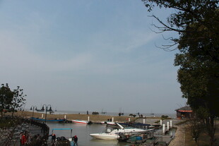 港口停泊的船只与岸边景象