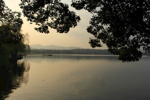 湖畔黄昏景 树影映波光