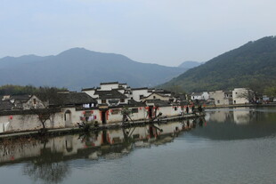 江南水乡宁静湖岸风光