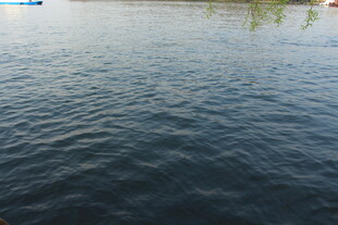 平静湖面的水波景象