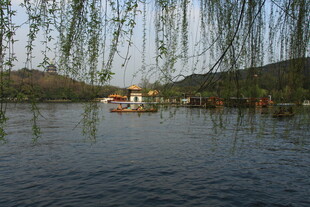 湖畔垂柳下的宁静风光