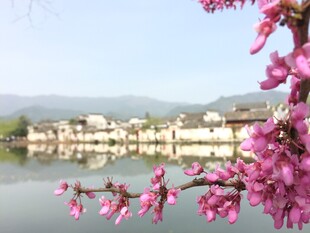 湖畔繁花映古村