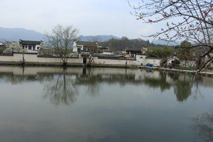 宁静湖畔乡村景致