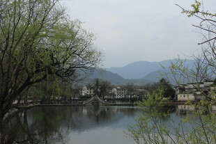 湖畔春景 远山近树相映