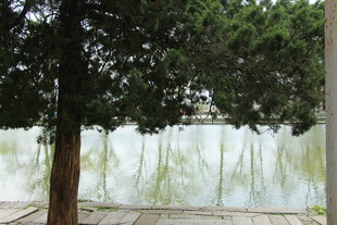 湖边绿树成荫的静谧景致