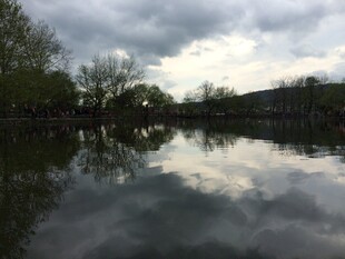 宁静湖面映天色