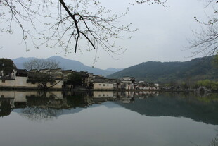 江南水乡湖畔静谧景致