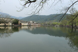 宁静水乡湖景风光