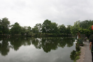 湖畔绿树成荫的宁静景致