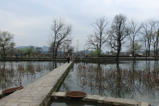 水上木栈道 萧瑟冬日景