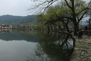 湖畔垂柳倒影山水美景