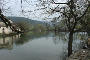 宁静湖畔乡村景致