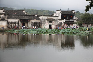 江南水乡古村落湖畔景致