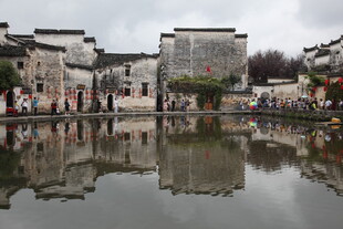 江南水乡古景 静谧池塘