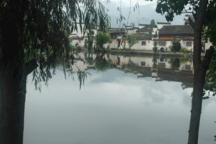 江南水乡静谧水景