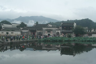 水乡村落 宁静湖景倒影