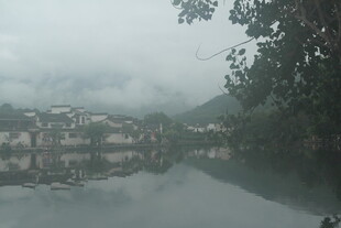烟雨朦胧中的水乡景致