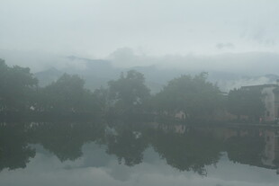雾中湖畔景致