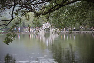 湖畔绿荫下的静谧景致