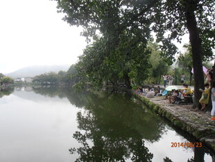 河畔绿树成荫的宁静景象