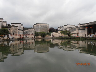江南水乡静谧池塘景致