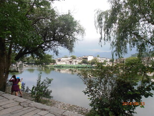 湖畔风景 绿树环绕的宁静地