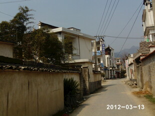 狭窄小巷中的民居景象