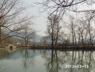 冬日湖畔静谧景致