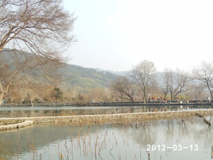 冬日宁静湖边景色