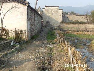 乡村泥泞小道与老旧房屋