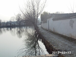 冬日河畔静谧景象